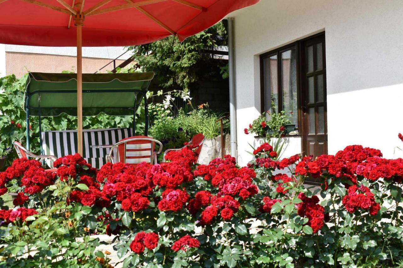 Apartmani "Vila Jelena" Аранделовац Экстерьер фото
