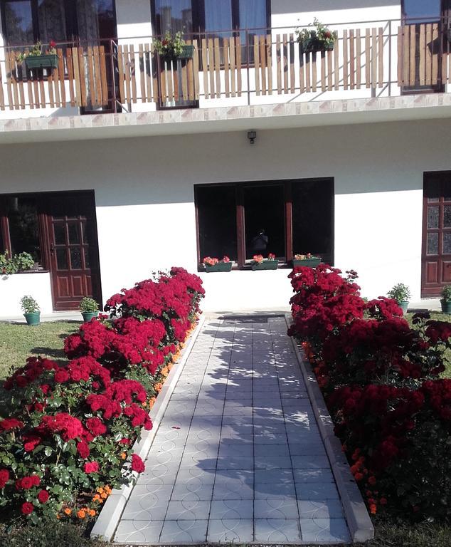 Apartmani "Vila Jelena" Аранделовац Экстерьер фото